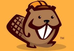 Cartoon of a small beaver.